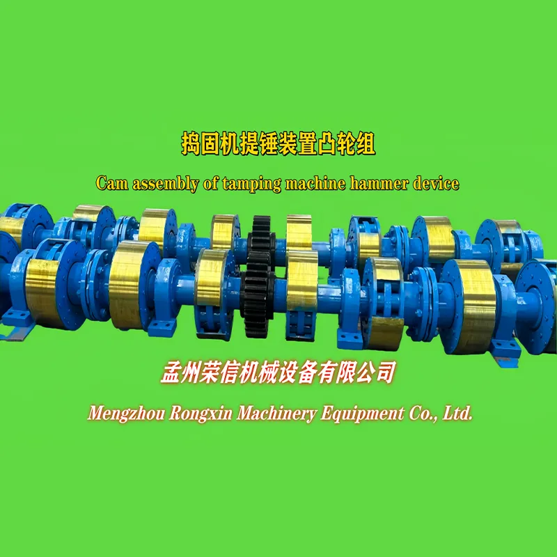 Кулачковая группа устройства подъема молота трамбовочной машины
